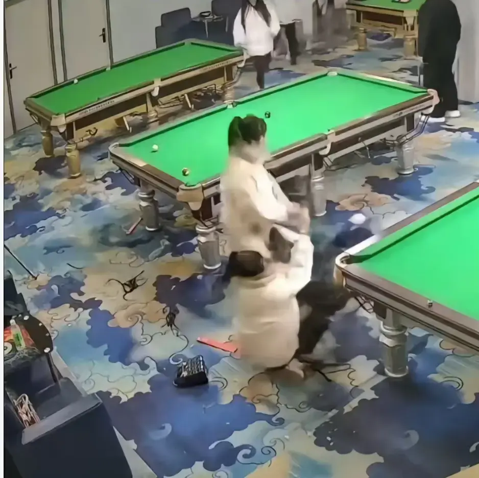 炸裂！《台球厅三狠人》中精神少女于台球厅真人互锤，三女子互打视频全收录，高清免费在线看！