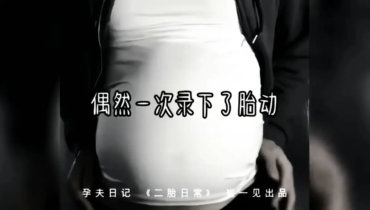 《崔一见孕夫日记》全集合集后续视频完整版 - 崔一见孕夫日记全集视频1080P高清无广告在线免费观看