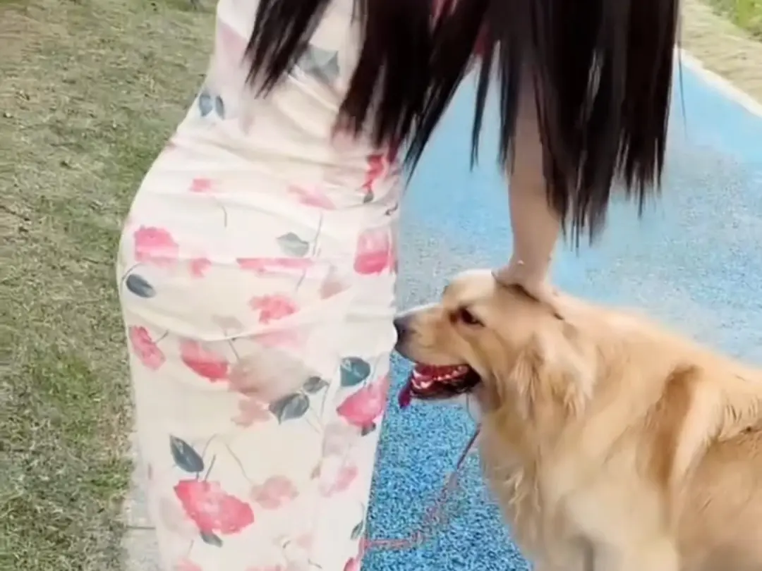 抖音香香公主与爱犬直播回放网盘资源持续有效免费领