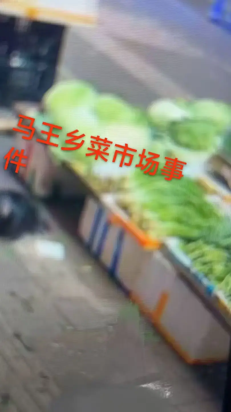 《重庆马王乡菜市场事件》一手视频曝光！1080P高清画质流畅播放，附关键节点时间标记，免费在线观看！