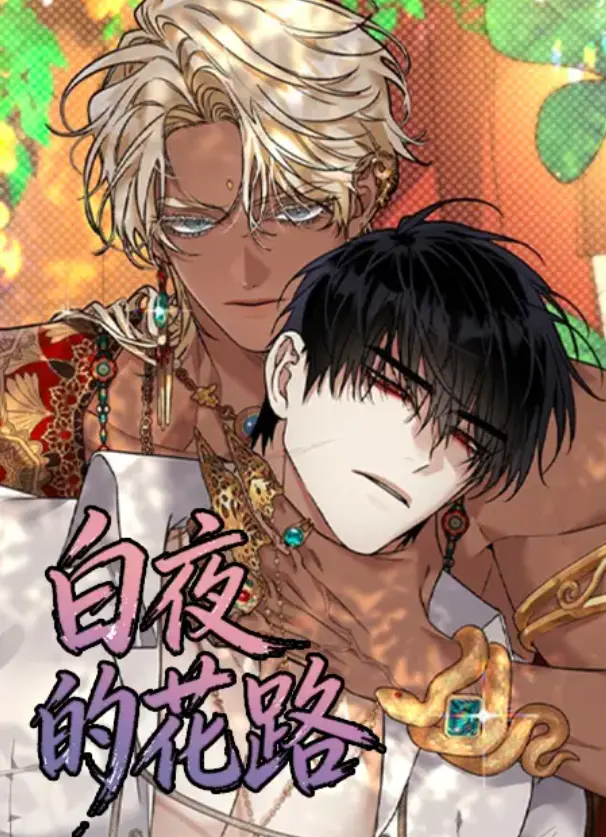 漫画白夜的花路无删减完整版免费在线看
