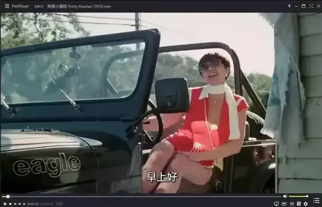 《美丽小蜜桃》1978年美国复古喜剧电影未删减完整版在线观看_高清中字免费播放_星辰影院《美丽小蜜桃》全片免费畅享