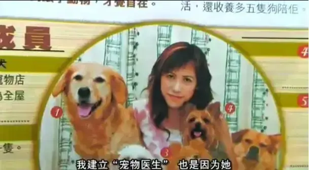 欧美大片《女人与狗》免费播放，中字全集未删减版-《女人与狗》高清画质在线看，1080P超清流畅-支持网盘资源下载无广告