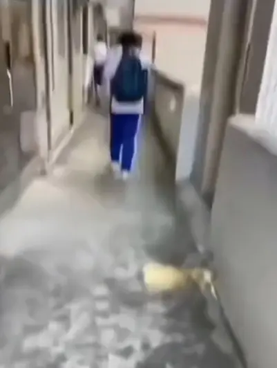 《大昌市第七中学》惊现教室走廊诡异身影，4K画质免费播放，绝密调查档案大揭秘，直接点击观看！