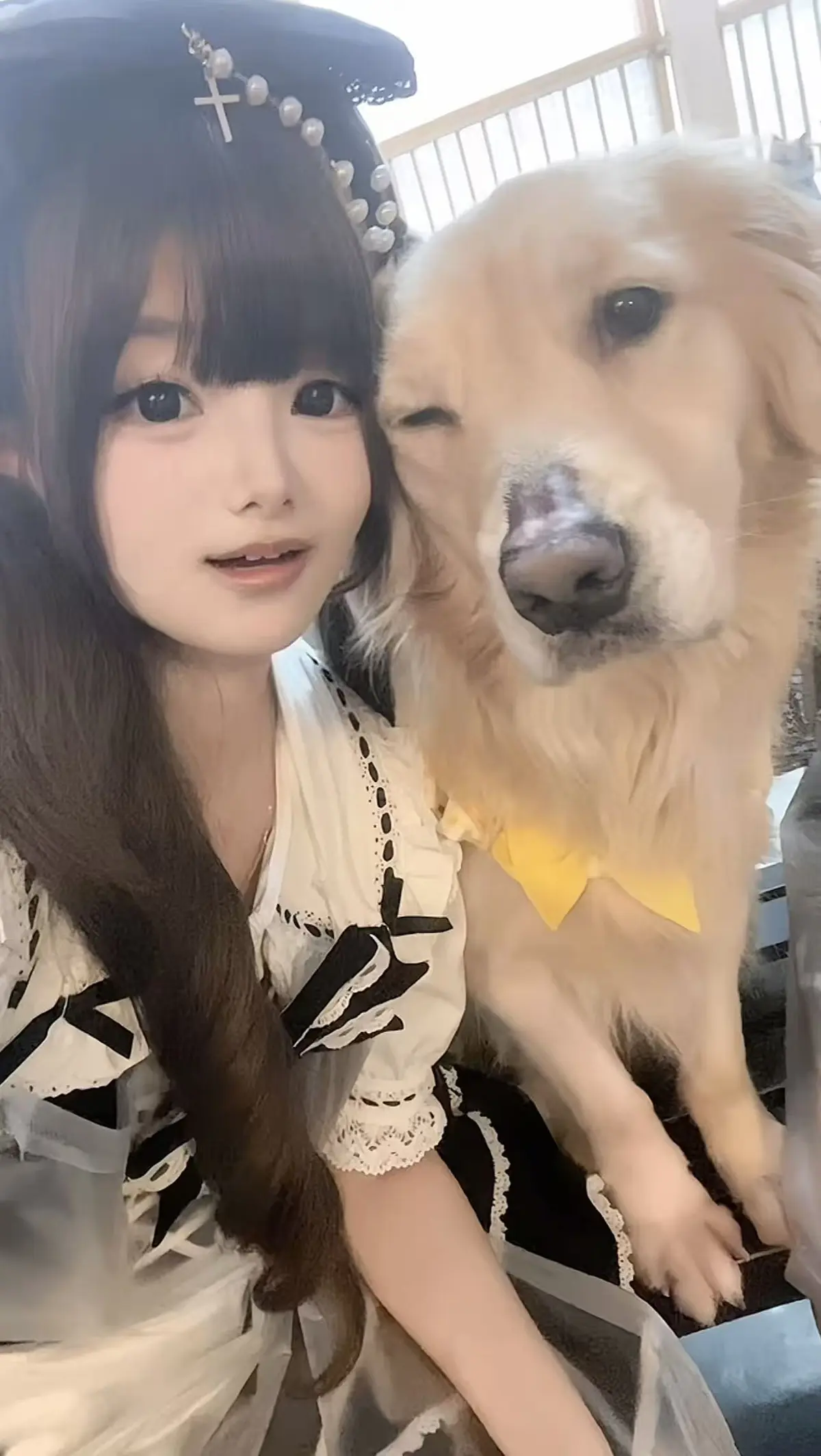 《金毛小蛋糕海鲜事件》全剧情高清呈现 - 香香公主与金毛的奇妙故事 - 体验无广告在线观看 - 解锁海鲜与小蛋糕的精彩