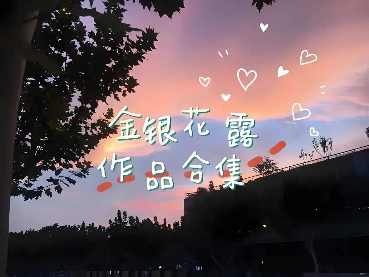 免费获取《金银花露的所有书》资源 - 乐可情节不容错过 - 困苦人生路引人深思 - 1080P高清画质呈现